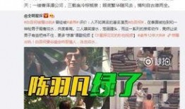 狗仔爆料的视频大全集,揭秘娱乐圈幕后真相